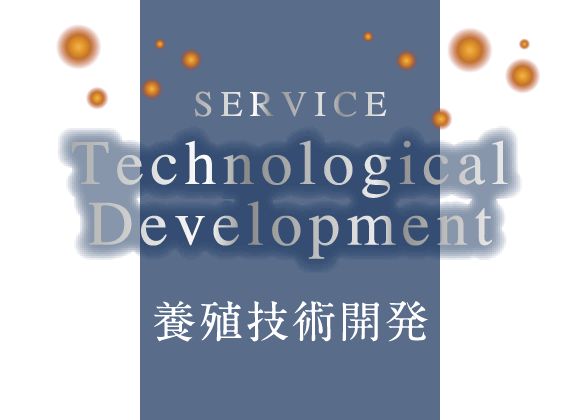 サービス Technological Development 養殖技術開発