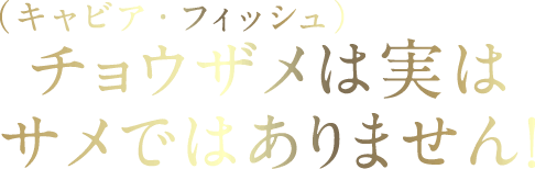 チョウザメ（キャビア・フィッシュ）は実はサメではありません！