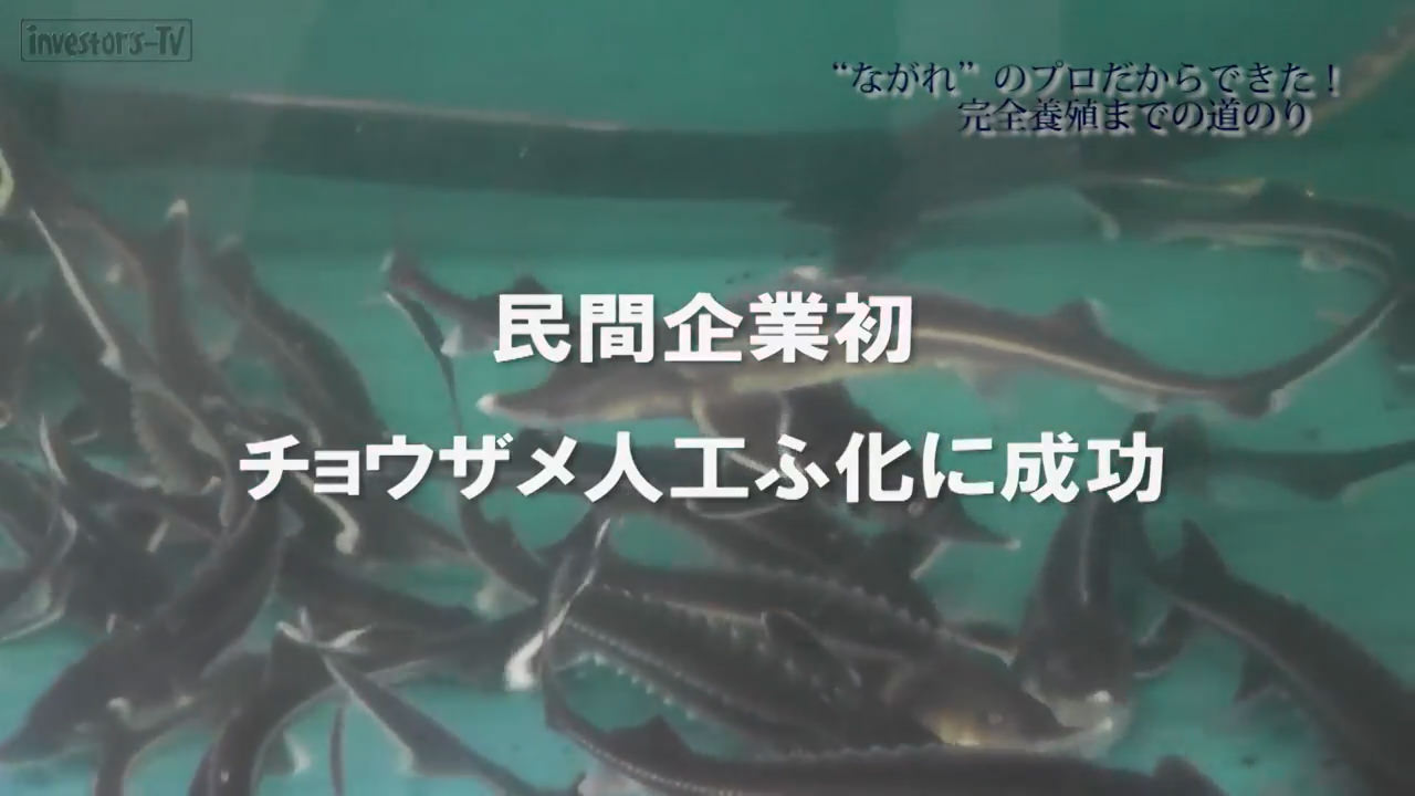 「開発秘話！民間企業初 チョウザメ人工ふ化に成功に至るまで」