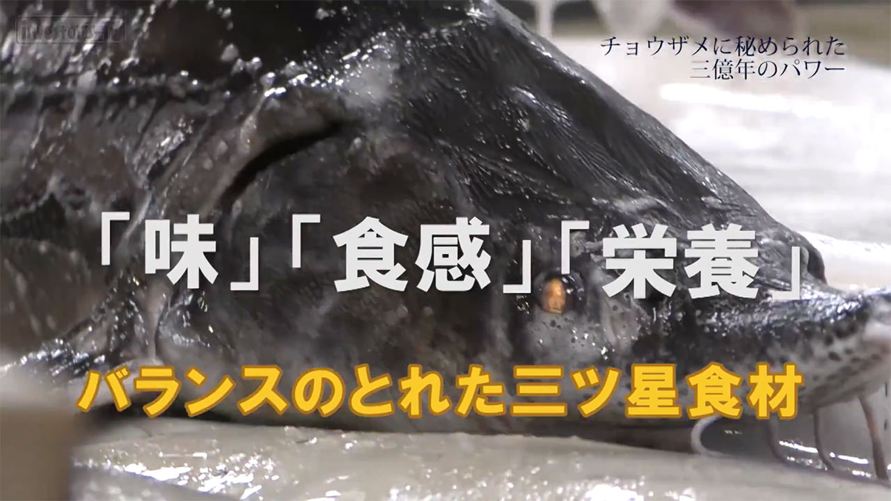 「三億年パワーの食材の秘密とは」