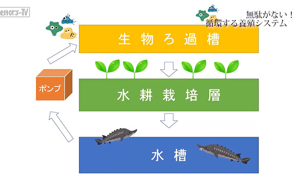 第3話 無駄がない！循環する養殖システム