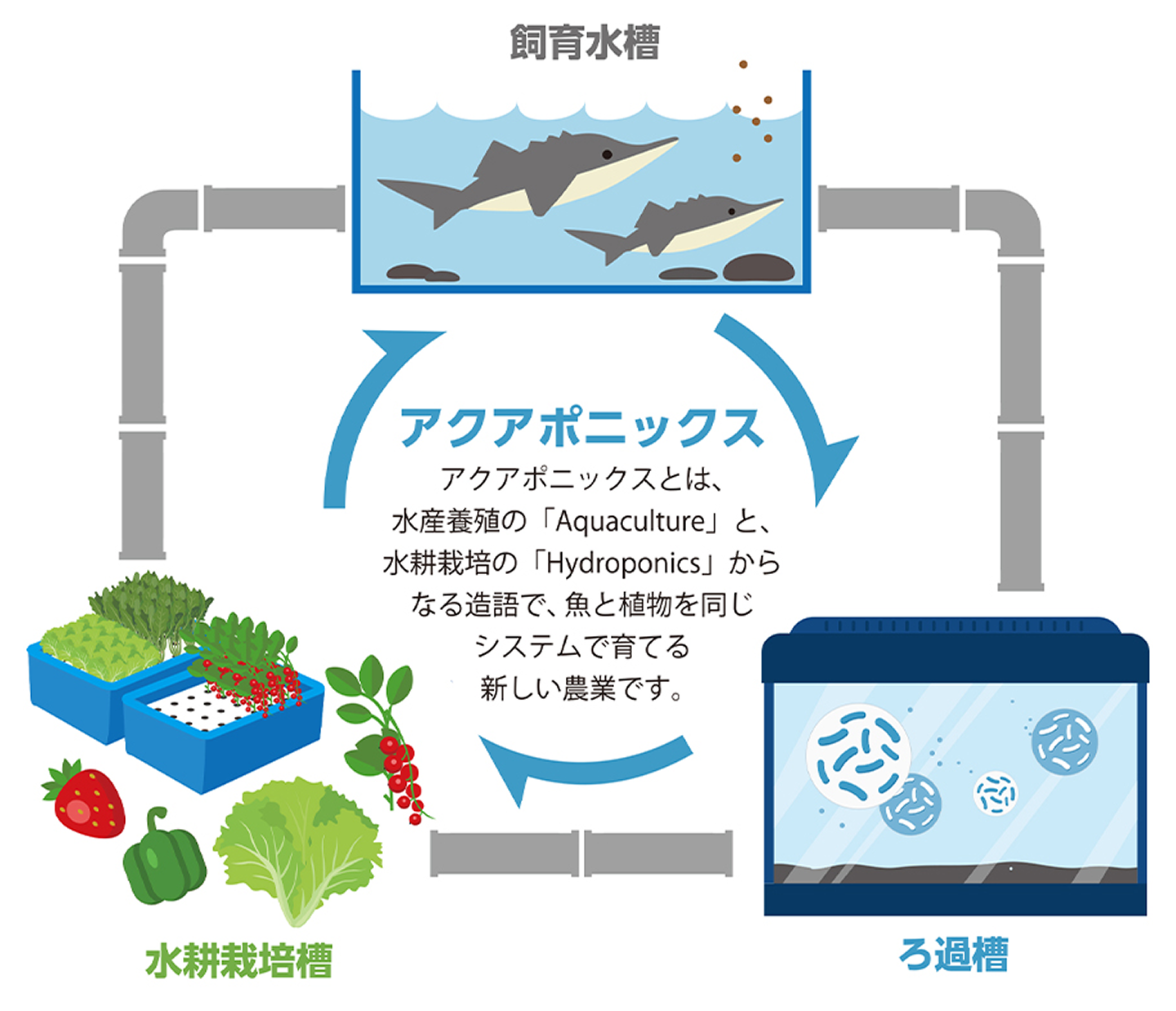 アクアポニックス