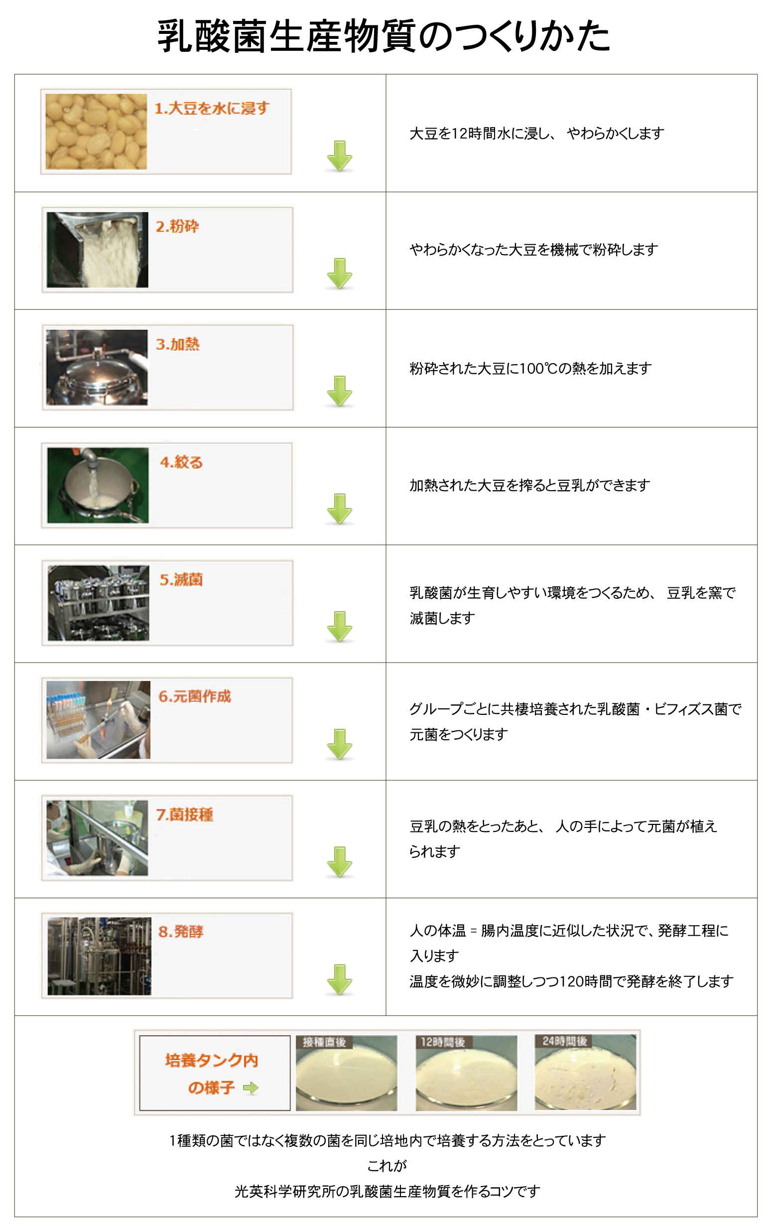 乳酸菌生産物質