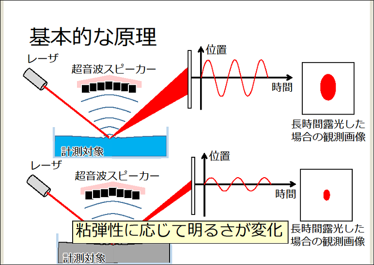 粘弾性計測方法および装置