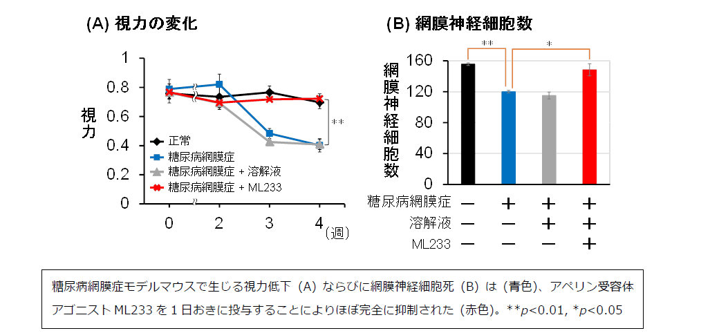 網膜神経保護作用を有するアペリン受容体アゴニストを含有する医薬組成物