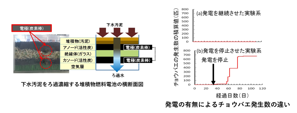 チョウバエ発生抑制装置