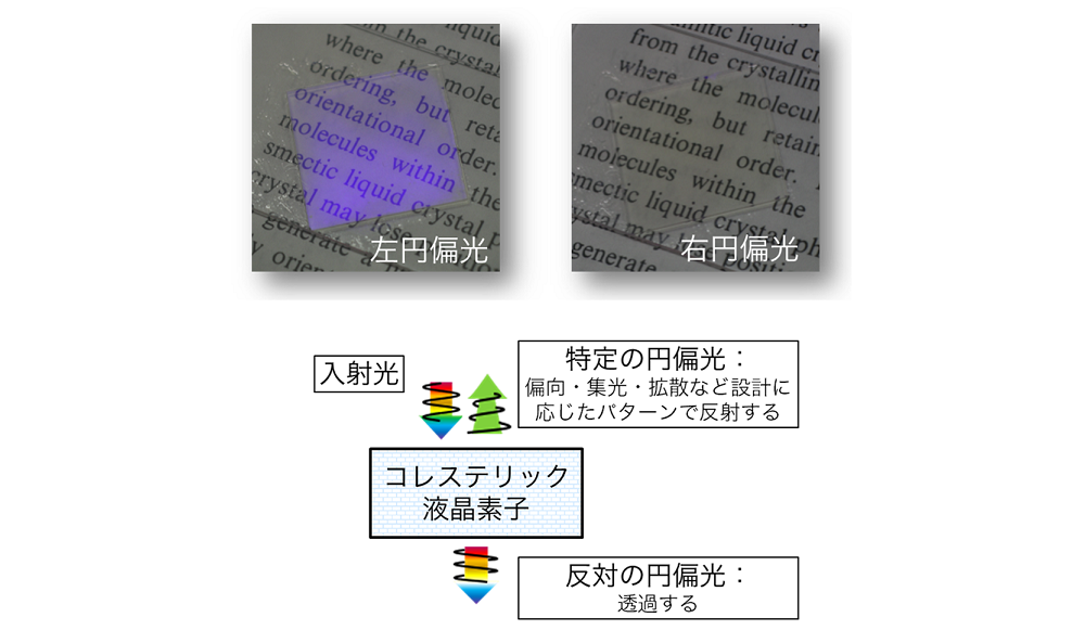 反射構造体、機器、及び反射構造体の製造方法