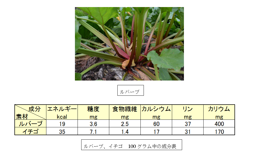 健康維持と旨さ及び販売促進性に優れるジャム