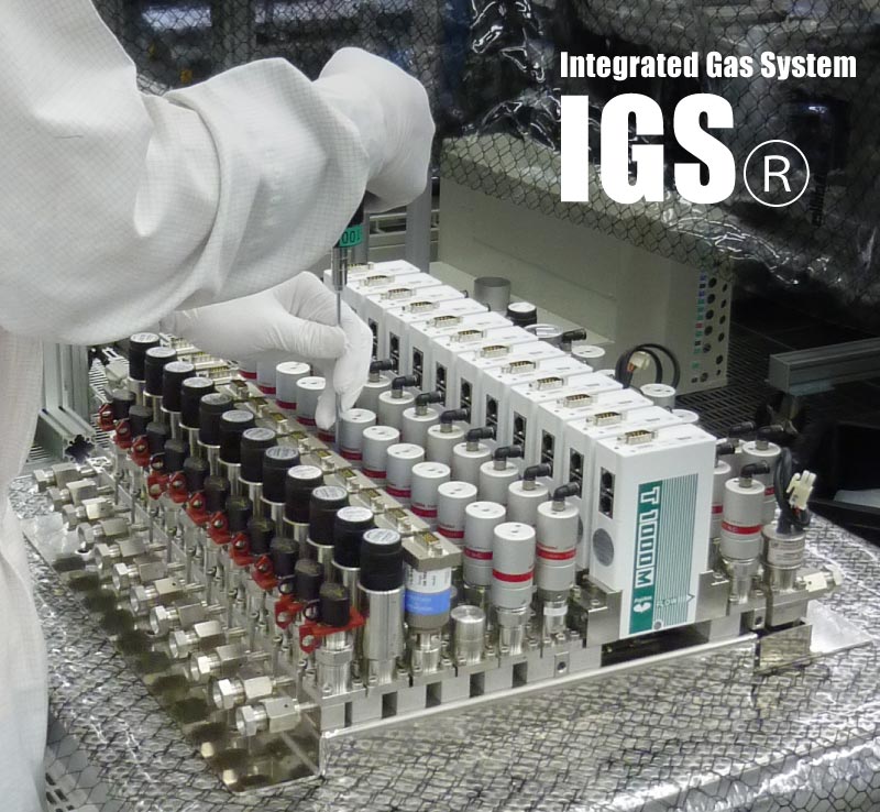 Integrated Gas System IGS®