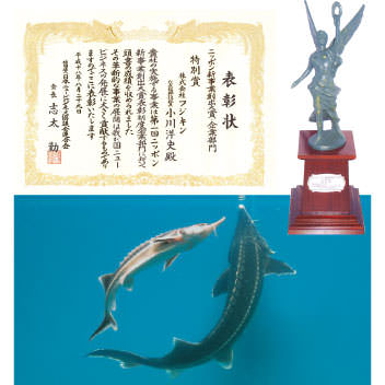 Fujikin receives the Special Award in the Business Category at the Japan New Business Awards.