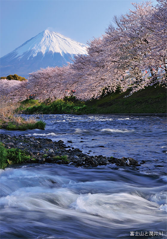 Mt. Fuji and Urui River