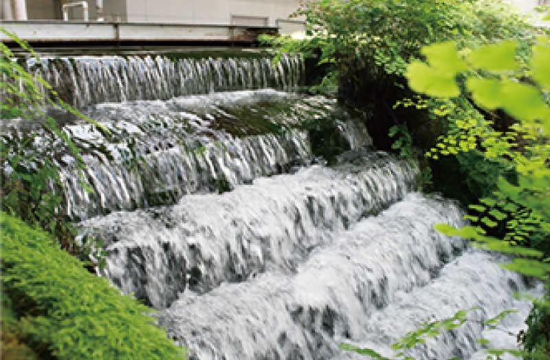 Water purified through a filtration tank