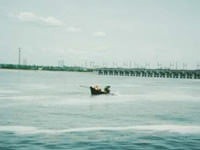 In front of the Volga River dam, Russian government workers investigate the capture of sturgeon.