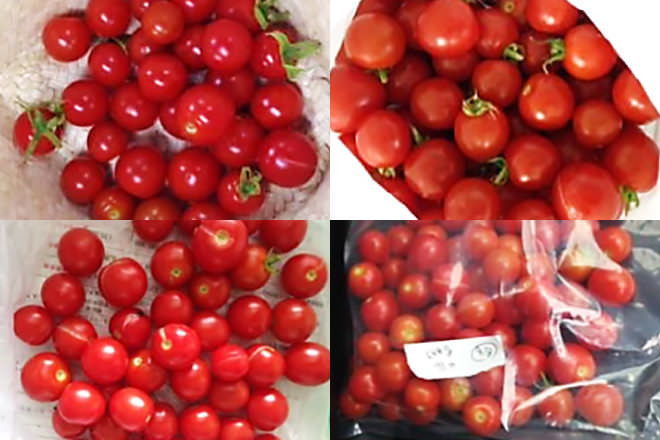 Mini tomatoes