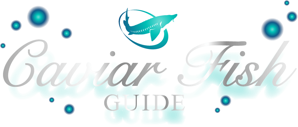 Caviar Fish GUIDE