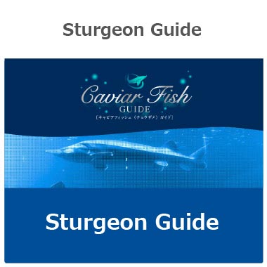 Sturgeon Guide