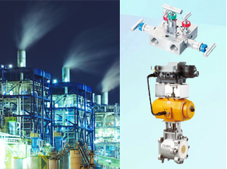 Specialized valves for Petrochemical plants