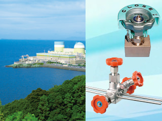Valves for nuclear power plant instrumentation