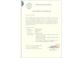 NK (Maritime Association of Japan) type certification