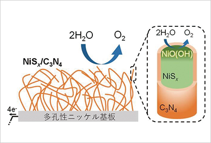 The reaction inside an electrode with a porous nickel substrate