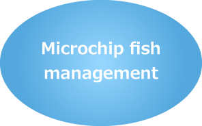 Microchip fish management