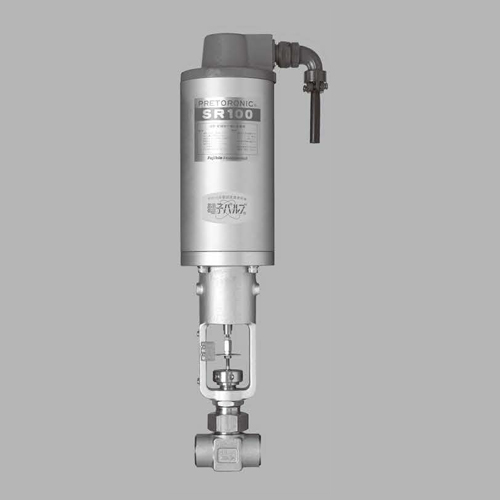 Automatic Globe Type Needle Valves
