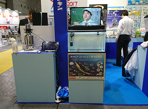 展示会風景