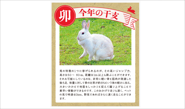 暮らしに役立つ情報