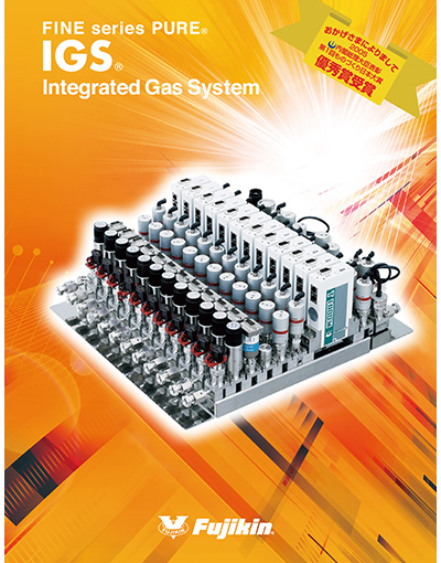 FINE series PURE® IGS® Integrated Gas System