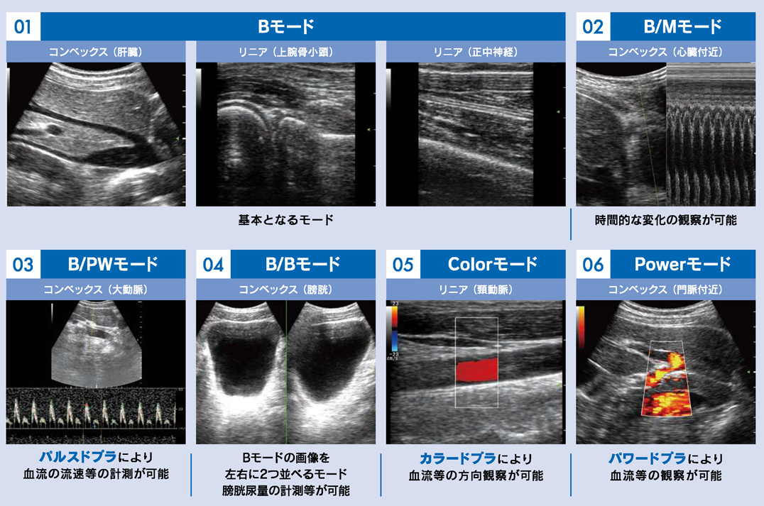 MUS-P0303　6つの表示モード